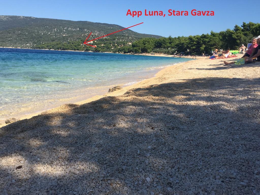 Apartmán Gavza Luna *